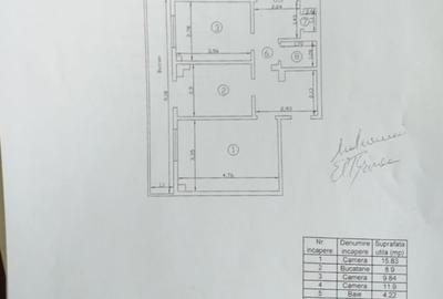 Apartament cu 3 camere decomandat în Păcurari - 9