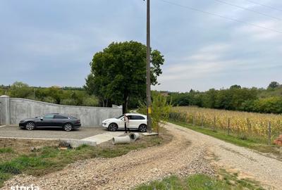 Teren de 11600 mp, în Viile Satu Mare - 2
