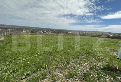 Teren de 1000 mp, în Bosanci