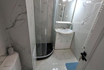 Garsonieră decomandată, mobilată în Nicolina - 6