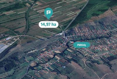 Teren agricol extravilan de 151874 mp, în Păltiniș - 3