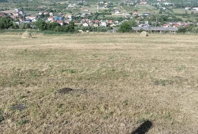 Teren de 839 mp, în Central - 1