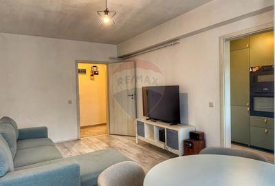 Apartament cu 2 camere semidecomandat, mobilat în Theodor Pallady - 3
