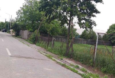 Teren de 1500 mp, în Mogoșoaia - 5