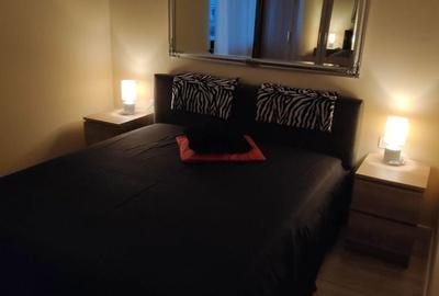 Apartament cu 2 camere în Dumbrăvița - 2