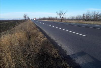 Teren de 5000 mp, în Cotorca - 6