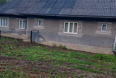 Casă cu 3 camere în Bocicoel - 5
