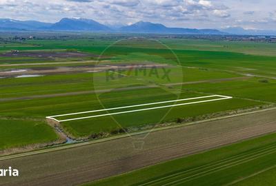 Teren de 4000 mp, în Prejmer - 12