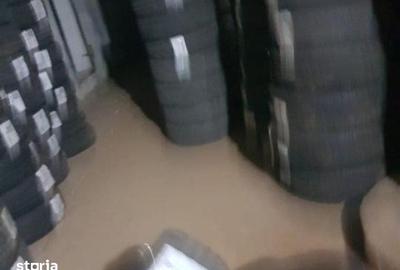 Spațiu comercial, de 700 mp, în Cernica - 18