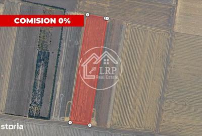 Teren de 55000 mp, în Călugăreni