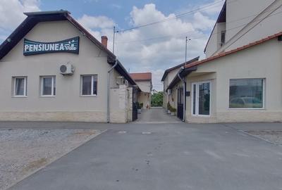 Hotel/Pensiune, de 391 mp, în Micălaca - 1