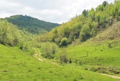 Teren de 493 mp, în Central