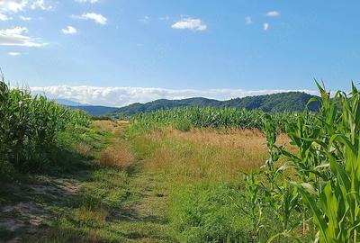 Teren de 1000 mp, în Copăcelu