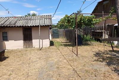 Casă cu 3 camere în Rocna