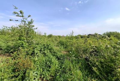 Teren Construcții intravilan de 3300 mp, în Vlădiceasca - 6