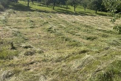 Teren de 700 mp, în Feleacu