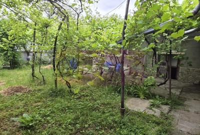 Casă individuală cu 2 camere cu Canalizare în Exterior Nord - 21