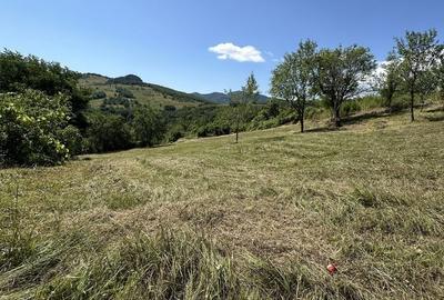 Teren de 974 mp, în Ampoița