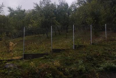 Teren de 6385.6 mp, în Berislăvești - 7
