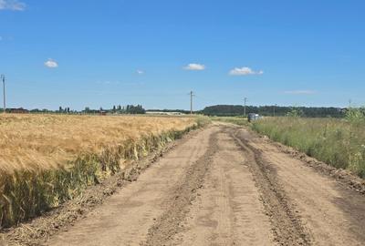 Teren intravilan de 6097 mp, în 1 Decembrie - 5