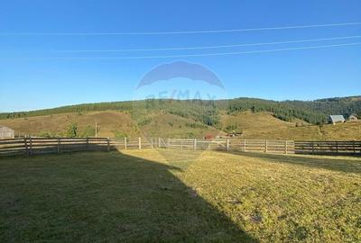 Teren de 3272 mp, în Beliș - 1