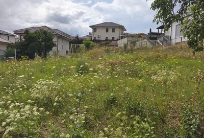 Teren de 500 mp, în Dezmir
