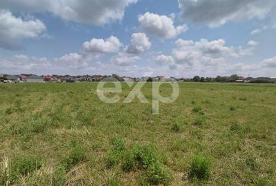 Teren Construcții intravilan de 892 mp, în Bod - 2