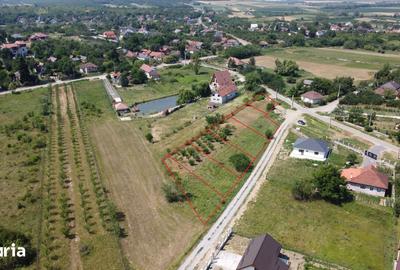 Teren de 500 mp, în Viile Satu Mare