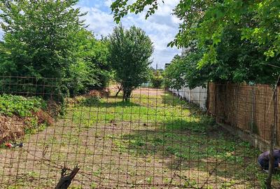Teren de 600 mp, în Jilava - 1