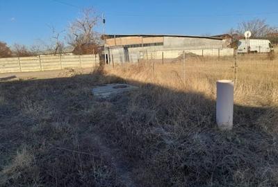 Spațiu comercial, în Crâng - 3