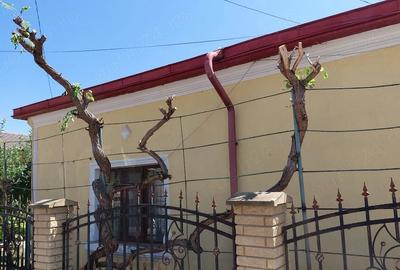 Casă cu Teren 240 Mp în Central