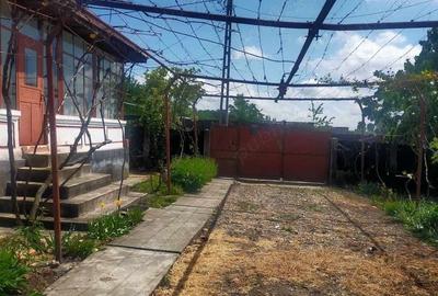 Casă cu 3 camere cu Teren 1022 Mp în Șișești