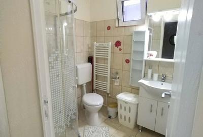 Apartament cu 2 camere decomandat în Lipovei