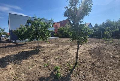 Casă cu Teren 270000 Mp în Central