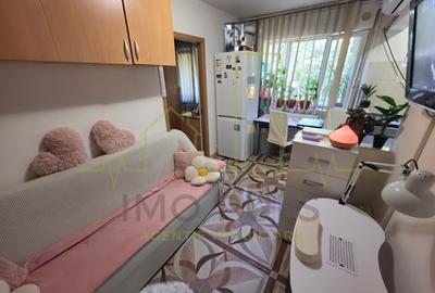 Apartament cu 2 camere nedecomandat, mobilat în Șagului