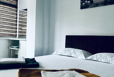 Apartament cu 2 camere decomandat în Ostroveni - 8