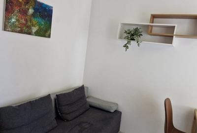 Apartament cu 2 camere nedecomandat în Palat - 4