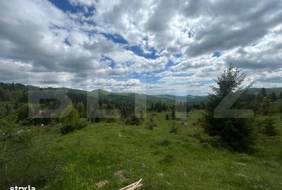 Spațiu comercial, în Valea