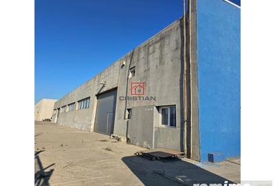 Spațiu comercial, în Domnești - 9