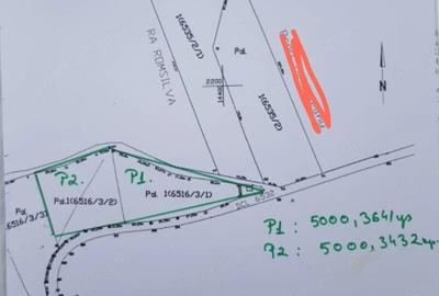 Teren de 5000 mp, în Bucium - 2