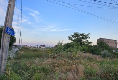 Teren Construcții intravilan de 4965 mp, în 1 Decembrie - 1