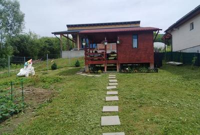 Spațiu comercial, în Petru Rareș - 8