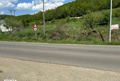 Teren de 1000 mp, în Ciurila - 2