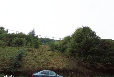 Teren de 32000 mp, în Rusca