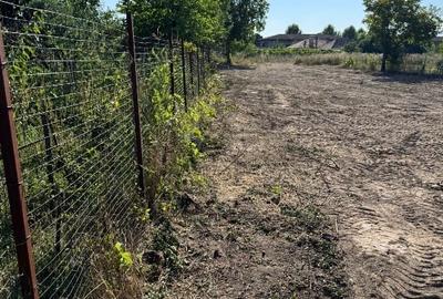 Teren Construcții intravilan de 1100 mp, în Ghermănești - 2
