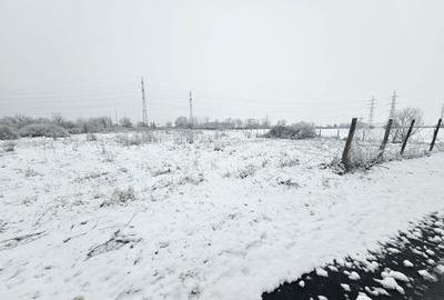 Teren agricol intravilan de 5876 mp, în Ronaț - 1