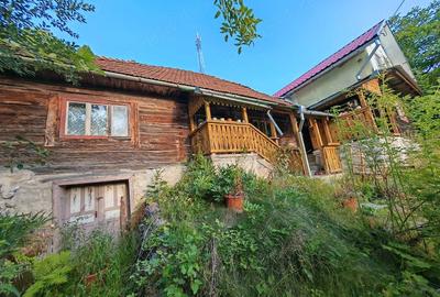 Casă cu 5 camere cu Teren 23000 Mp în Blăjeni