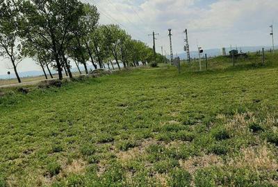 Teren de 5000 mp, în Central - 1