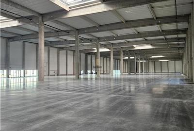 Spațiu industrial, de 9,500 mp, în Industrial Vest - 2