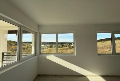 Casă individuală cu 5 camere cu Teren 2000 Mp în Dumbrava (Ciurea) - 2